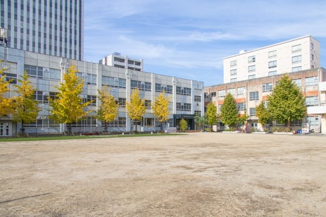校舎の前の校庭に並ぶ、黄葉したイチョウ
